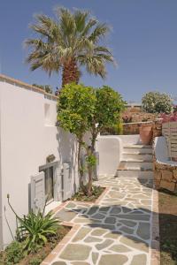 Deep Blue Villa Naxos Greece