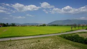 Fattoria Didattica Le Torte - Tordandrea