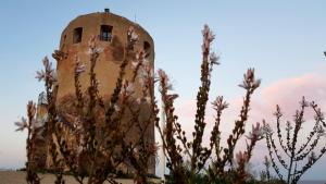 Corallo casa vacanza