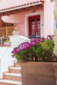 Chalki Residence Group Naxos Greece