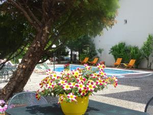 Olympus Hotel Villa Drosos Olympos Greece