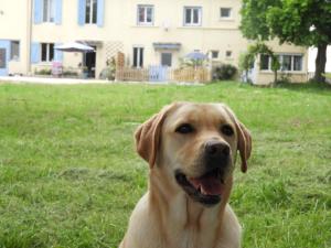 Chata Les Gites de "Grand Jean" Marmande Francie