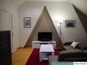 Appartements Gites de mer Les Boucanes : photos des chambres