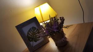 Room Tereza