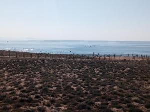 Appartement CAPBRETON face à l'océan sans vis à vis, avec piscine photo 12