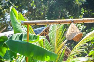 Forra Dive Resort Pattaya Beach