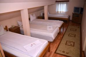 Quadruple Room room in Pensiunea La Palaguta