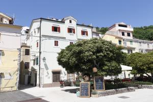 Apartment Darko with Sea View