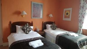 Superior Twin Room room in 17 Wilmington Square
