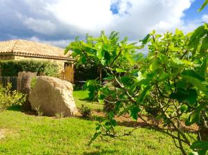 Sejours a la campagne Clos Simoni : photos des chambres