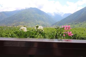 Appartamento con 1 Camera da Letto e Vista Montagna