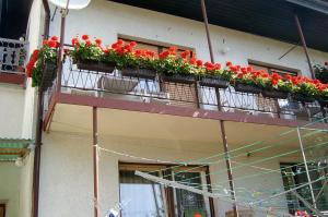 Guest House Ivanka 