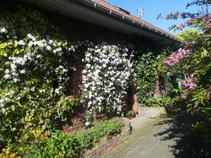 Pantgat Hof photo 12