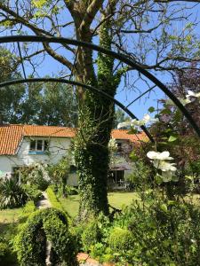 Sejours a la campagne La Ferme Wessiere : photos des chambres