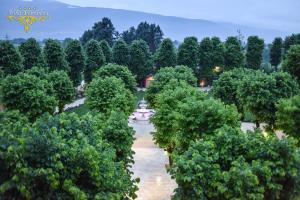 Suite Junior - Vue sur Jardin