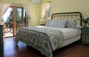 One Bedroom Suite  room in Courtwood Inn
