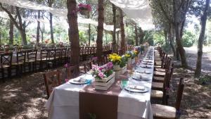 Agriturismo la Mimosa img28