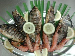 Agriturismo la Mimosa img13