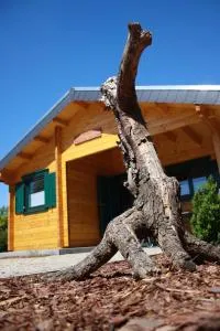 mySeenland - Staupitz