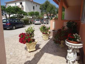 Guest house Maria Rosa