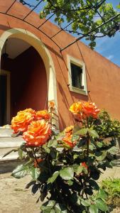 Helen's House - quiet lifestyle, natural landscape Corfu Greece