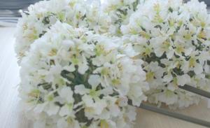 Ribeira Funchal Center