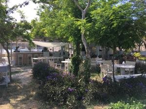 Mersini Schoinoussa-Island Greece