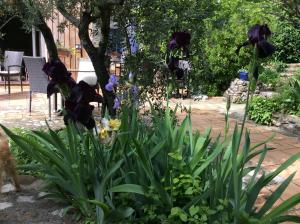 Hotels Clos des Iris : photos des chambres