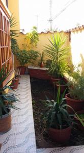 Hostal Casa Amarilla San Vicente de Tagua Tagua