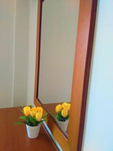 Triple Studio room in Irini Seaside Studios