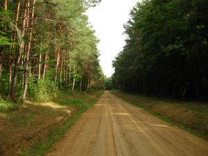 Vidéki Ház-Őrség