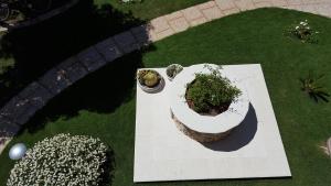 Sole D'oro IUN S4354 img18