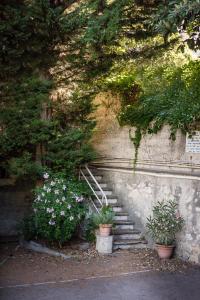 Hotels Hotel d'Angleterre : photos des chambres