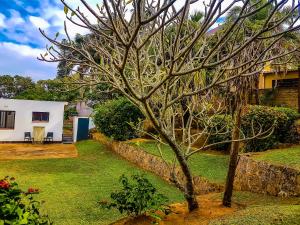 Villa Tropicana - South Africa