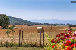 L'Escale Thoduroise photo 6
