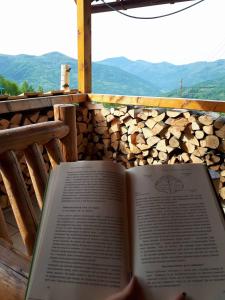 One-Bedroom House room in Rakhiv Plai