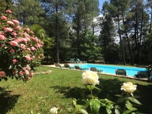 B&B / Chambres d'hotes Le Clos des Cigales : photos des chambres