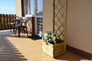 Pokoje nad Soliną 695-533-767