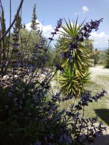 Casa d' Artista B&B img47