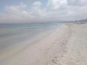 Agriturismo la Mimosa img22