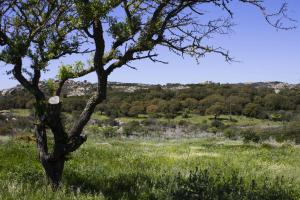 La Casa Del Poeta img47