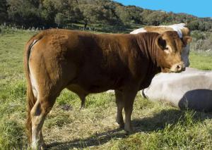 La Casa Del Poeta img55