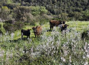 La Casa Del Poeta img51