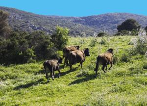 La Casa Del Poeta img54