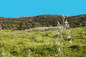 La Casa Del Poeta img60