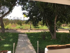 AGRIB&B Il Pomo d'oro img80