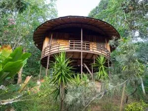 Paradiselodge Jungleguesthouse - Tinamaste