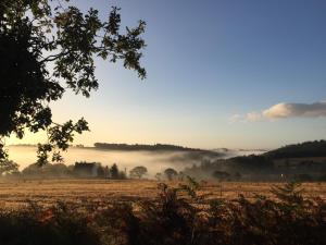 Appartements La Colline des Renards : photos des chambres