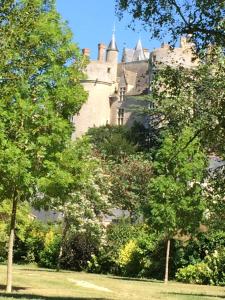 Maisons de vacances La douceur Angevine : photos des chambres