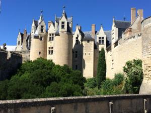 Maisons de vacances La douceur Angevine : photos des chambres